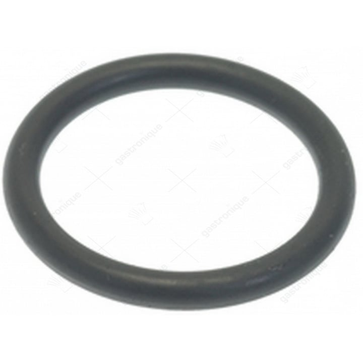o-ring 04100 epdm