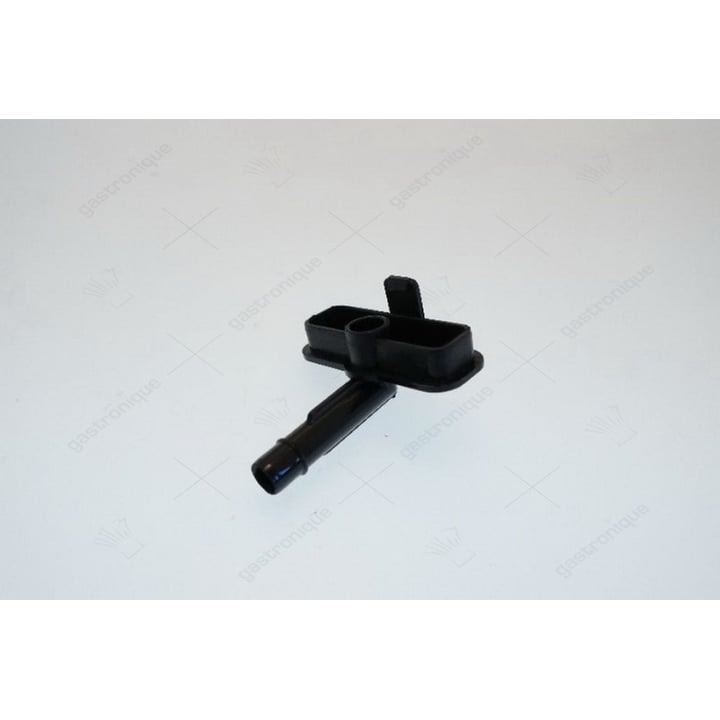 lid for dispensing spout