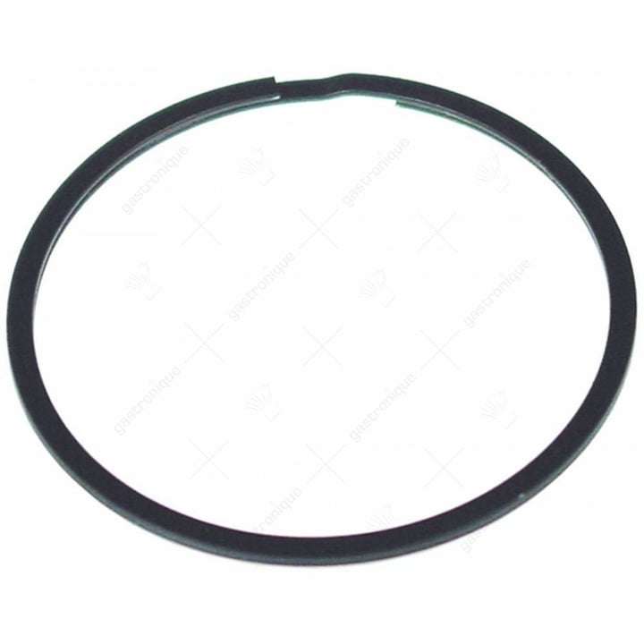 Feder für Zahnrad ø 49mm Dicke 1,5mm VPE 2 Stück 693920