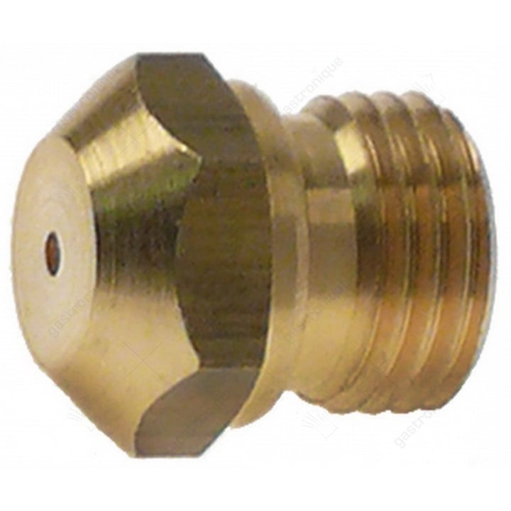 inspuiter m10x1 ø 2,50 mm
