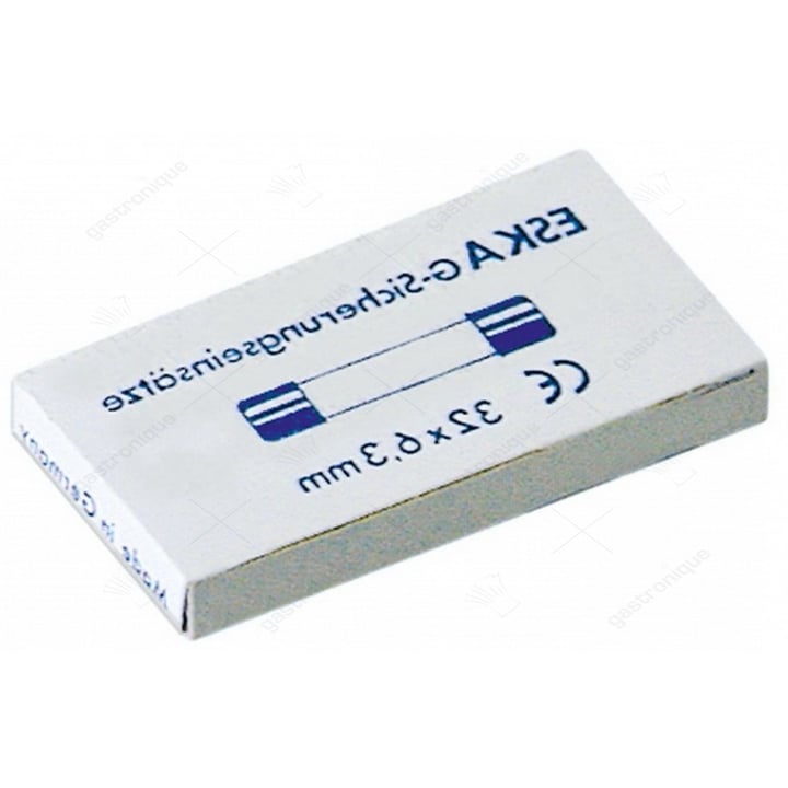 zekering versnellend ø 6,3x32 mm - 10stk
