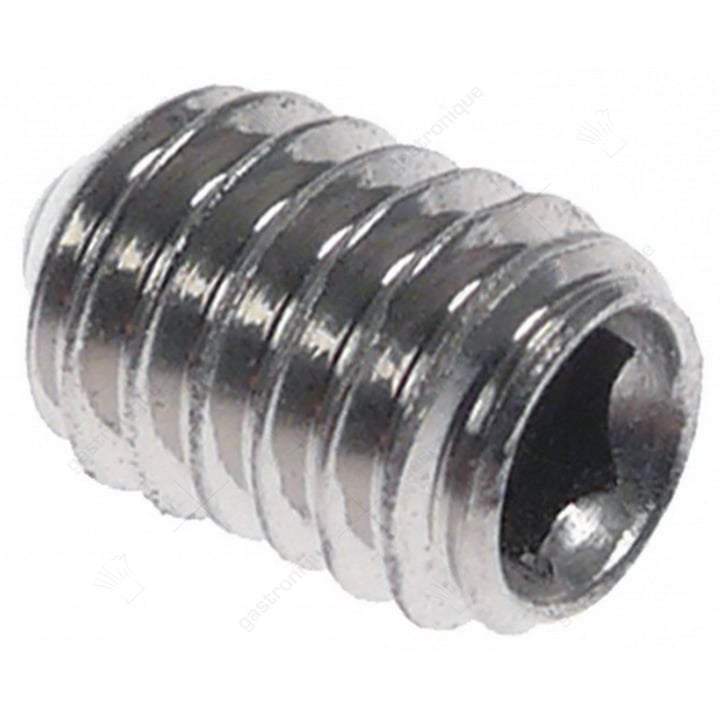 stelschroef draad M4 L 6mm RVS DIN 914 opname interne zeskant SB 2 vpe 20stuk