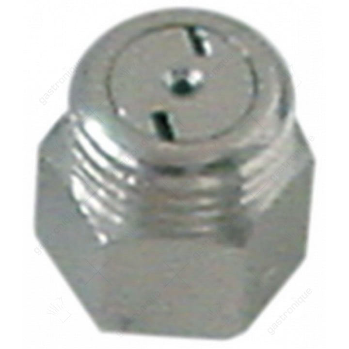 naspoel sproeier compleet 1/8"