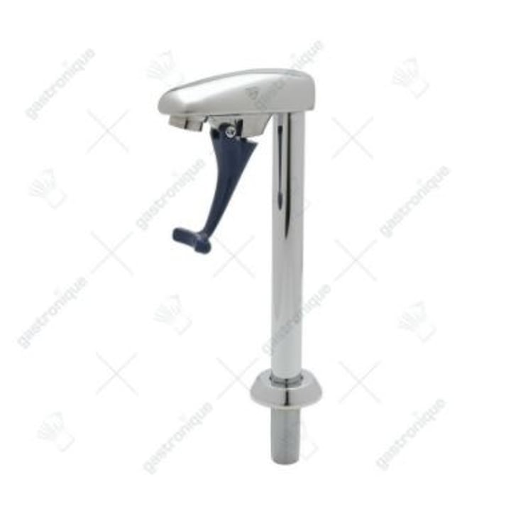 T&S Brass 8" hoge dekmontage glasvuller