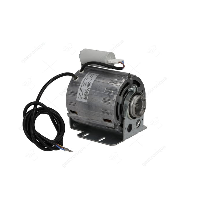 pompmotor RPM 165W 230V 50/60Hz aansluiting kabel 1500mm condensator 10µF