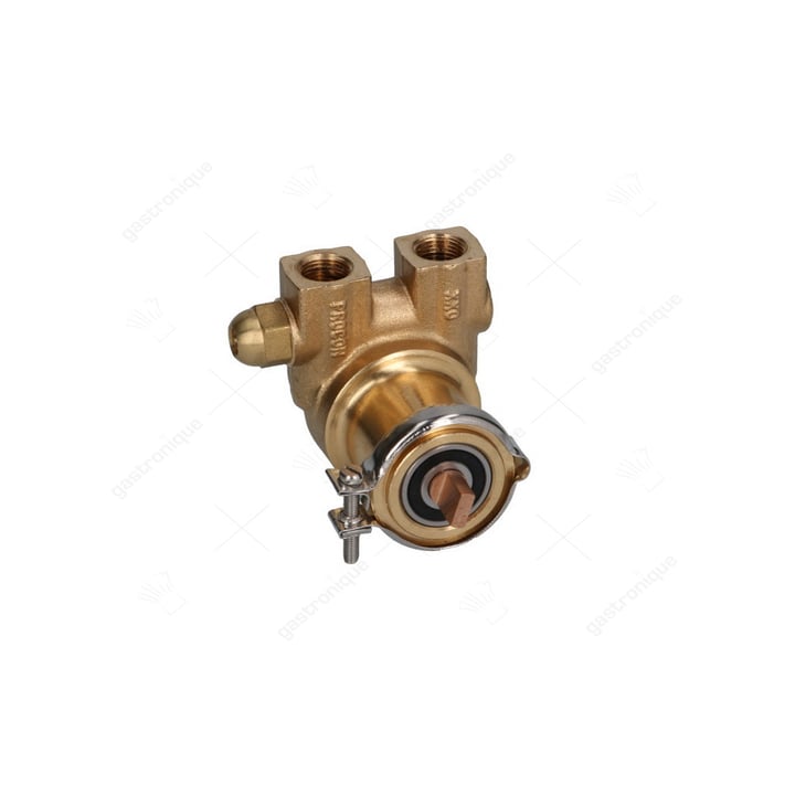 POMP PROCON ø 3/8" NPT