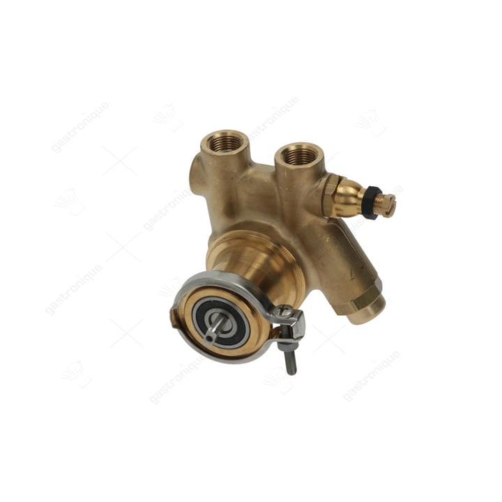 volumetric pump rotoflow ø 3/8" gas