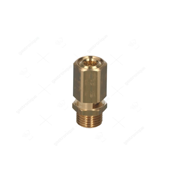 maximaalventiel ø 1/4"m