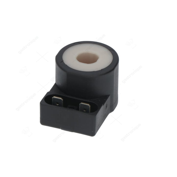 magnetic coil