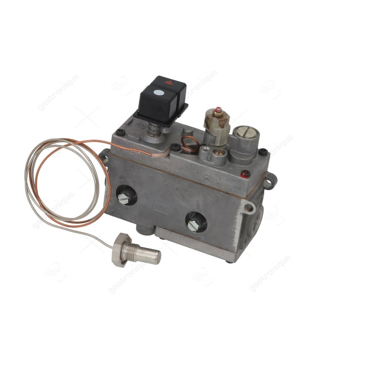 regelaar friteuse minisit 110° tot 190°c