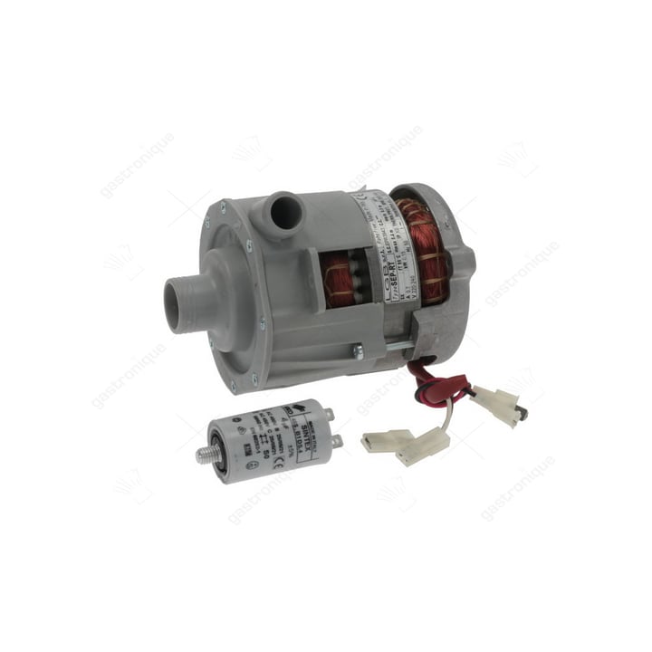 PUMP LGB SEP-RT 0.20HP
