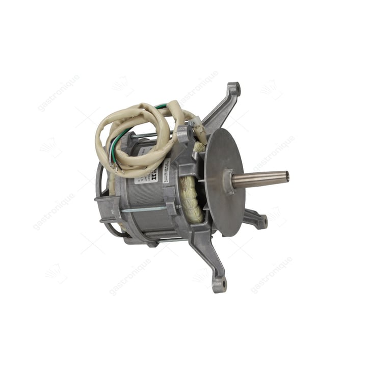 motor l7zaw4d-099 0,245kw (replaced by LF5173383)