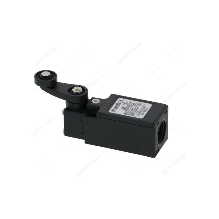 micro-switch pizzato fr530-a