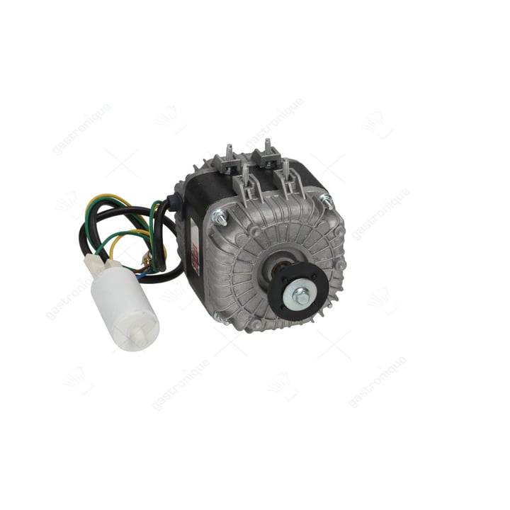 motor elco 3fbt 50-40/15