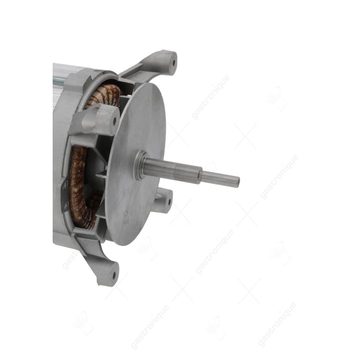 motor lm/fb100l 4/6 0,75/0,22kw 230v