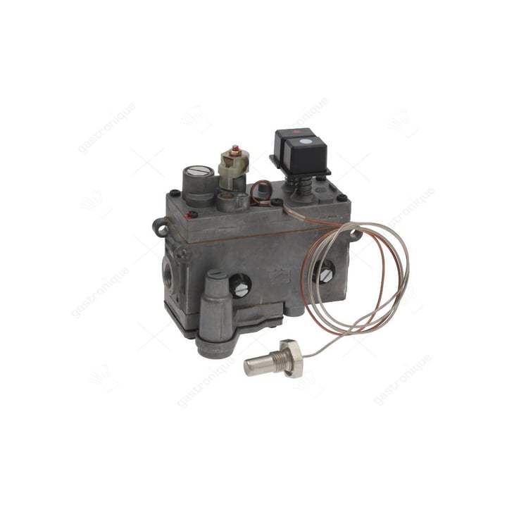 regelaar minisit friteuse 110° tot 190°c