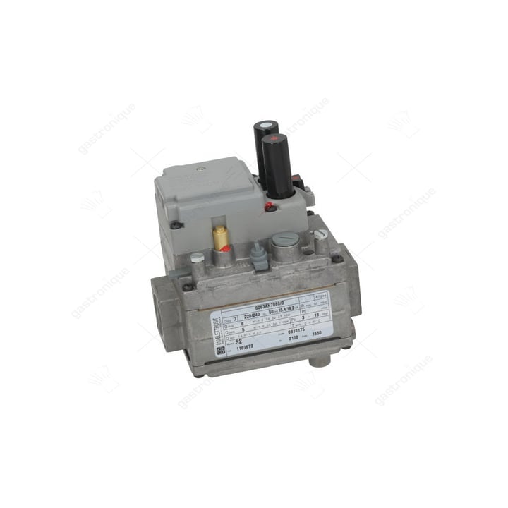 gasregelaar elettrosit ø 3/4"ff