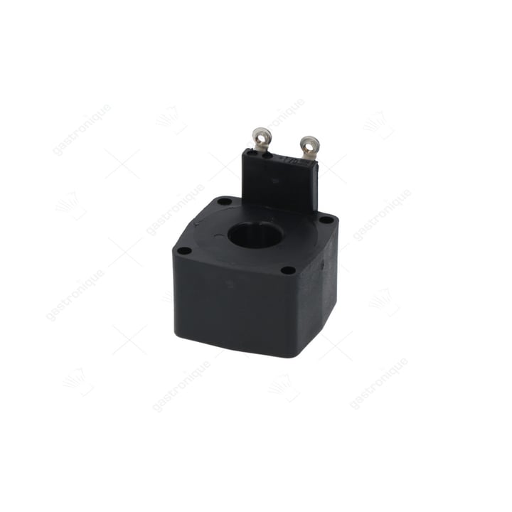 magneetspoel220v