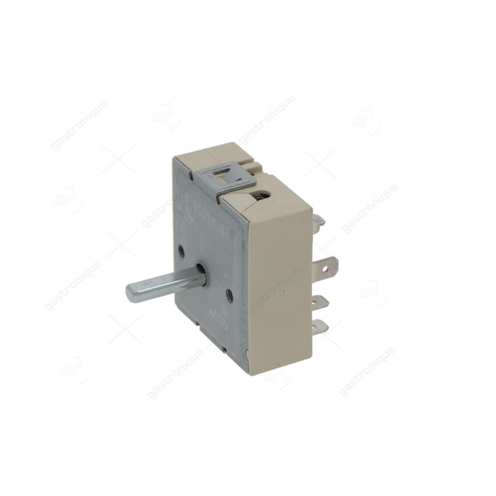 energy regulator