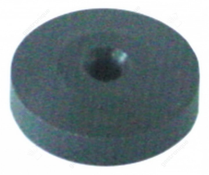 filter locking nut
