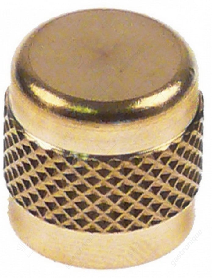 schroefkap CASTEL 8392/A grootte 1/4" SAE voor schraderventiel aansluiting 1/4" VPE 1