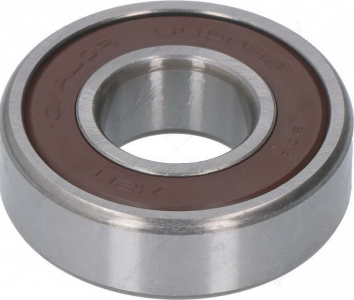 lager 6204 ddu nsk