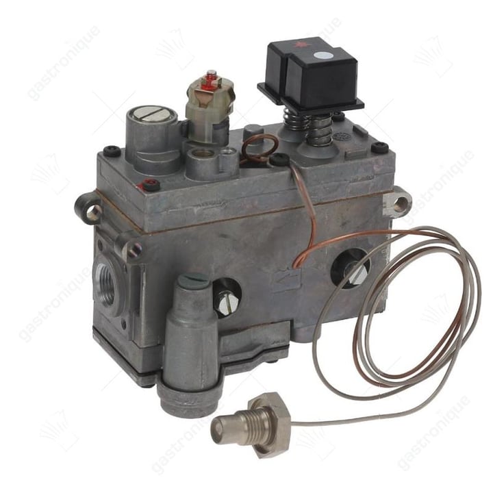 regelaar minisit bain-marie 20° tot 90°c