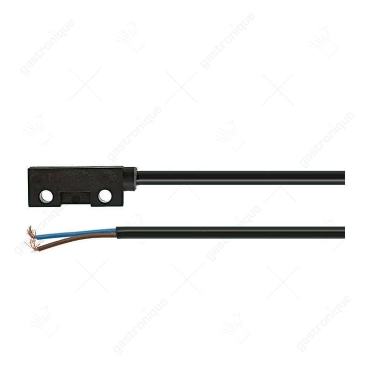 microschakelaar magnetisch stem e550 1b