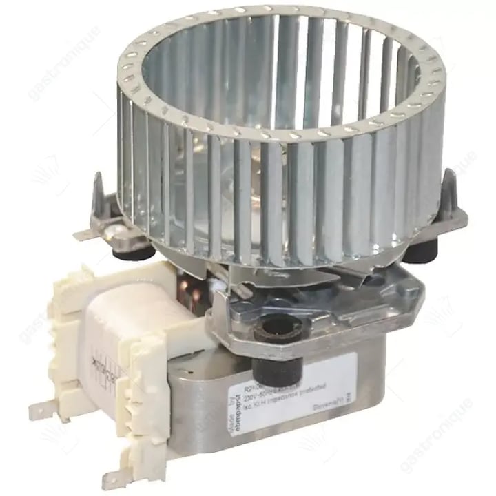 MOTOR WITH PROPELLER