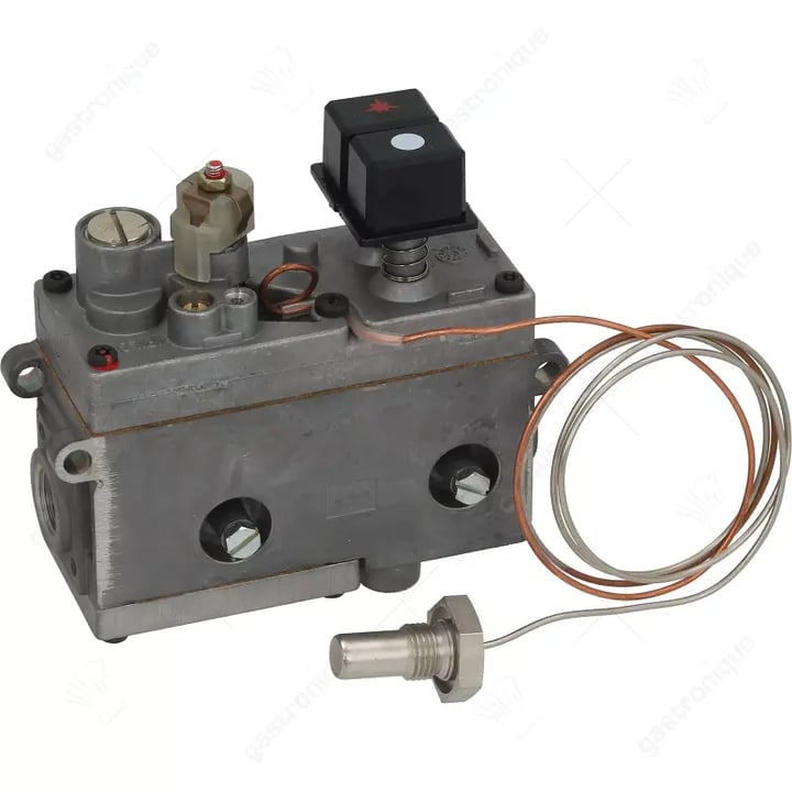 regelaar friteuse minisit 110° tot 190°c