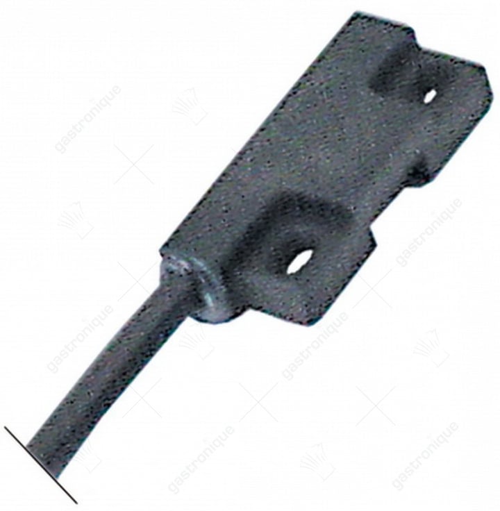 microschakelaar magnetisch stem e550 1b