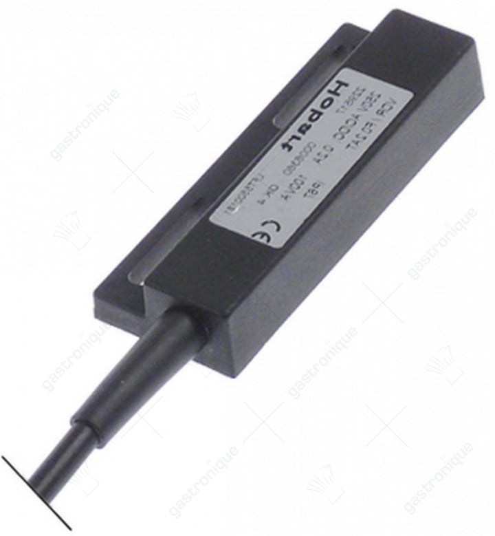 magnetic microswitch