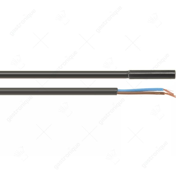 microschakelaar MAGNETIC MICROSWITCH A061-1V