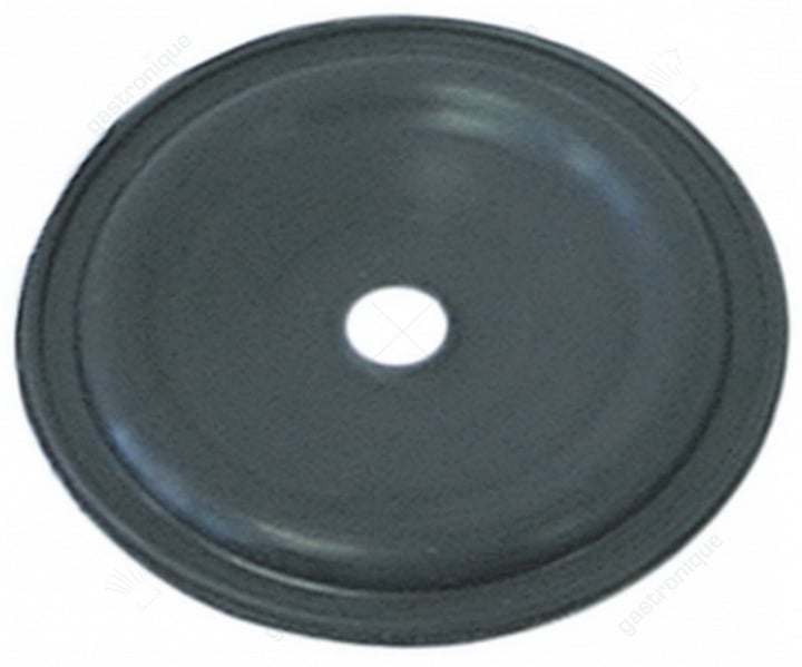diaphragm for doser dib 3