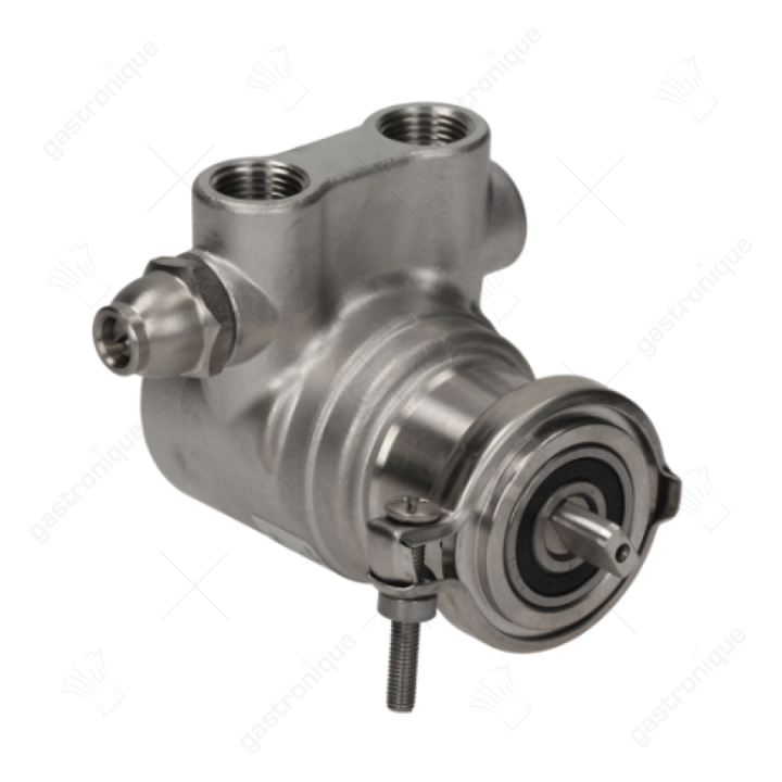 POMP ROTOFLOW PA311 300 L/h