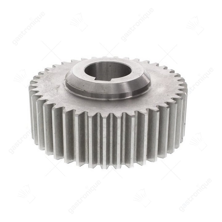 SMALL METALLIC GEAR