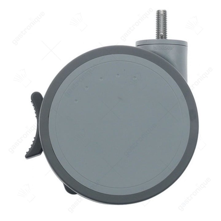 castor swivel with pin and brake