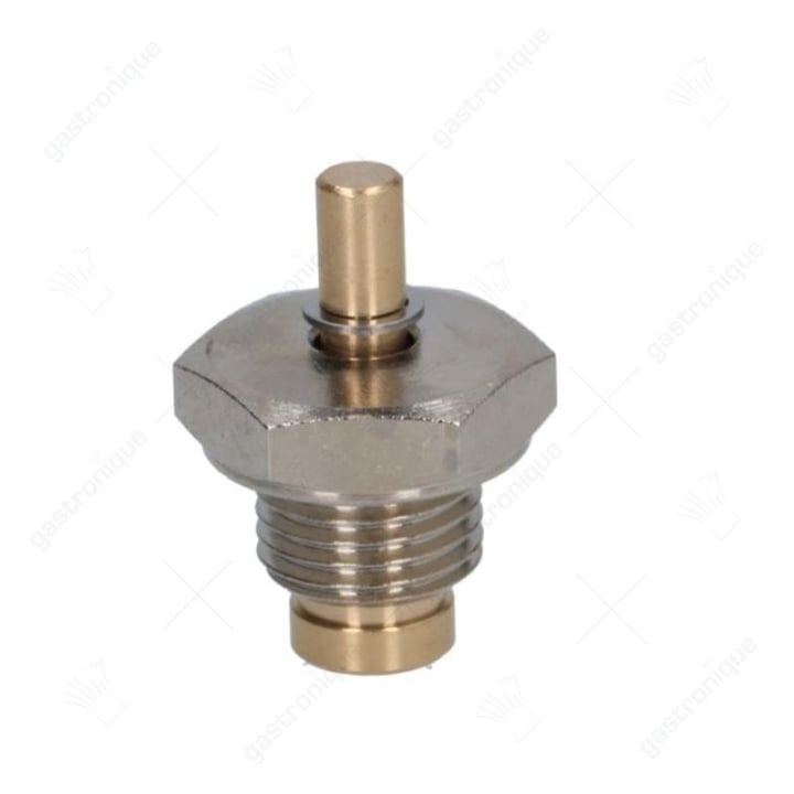 maximaalventiel ø 1/4"m